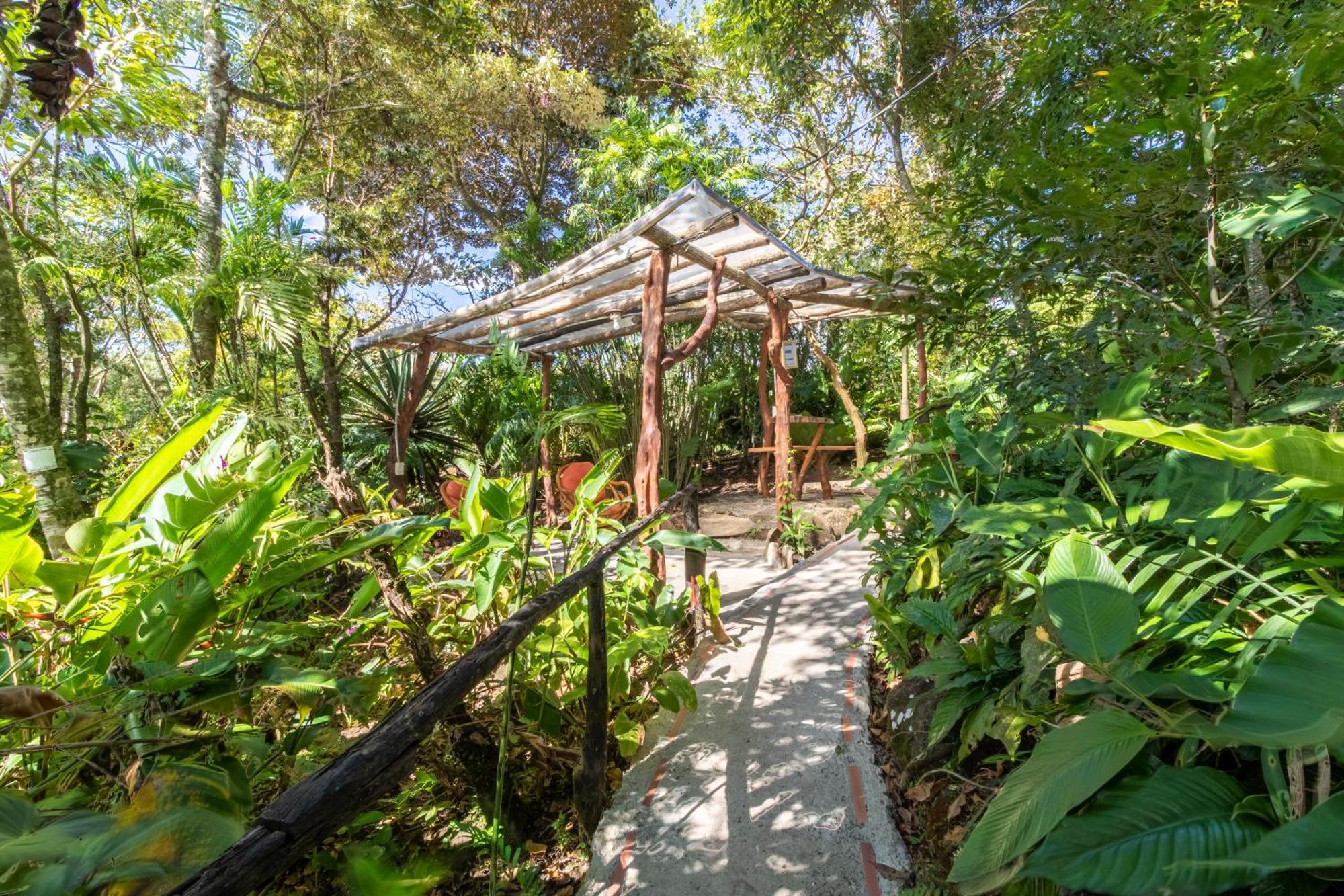 Hotel Claro De Luna Monteverde Luaran gambar