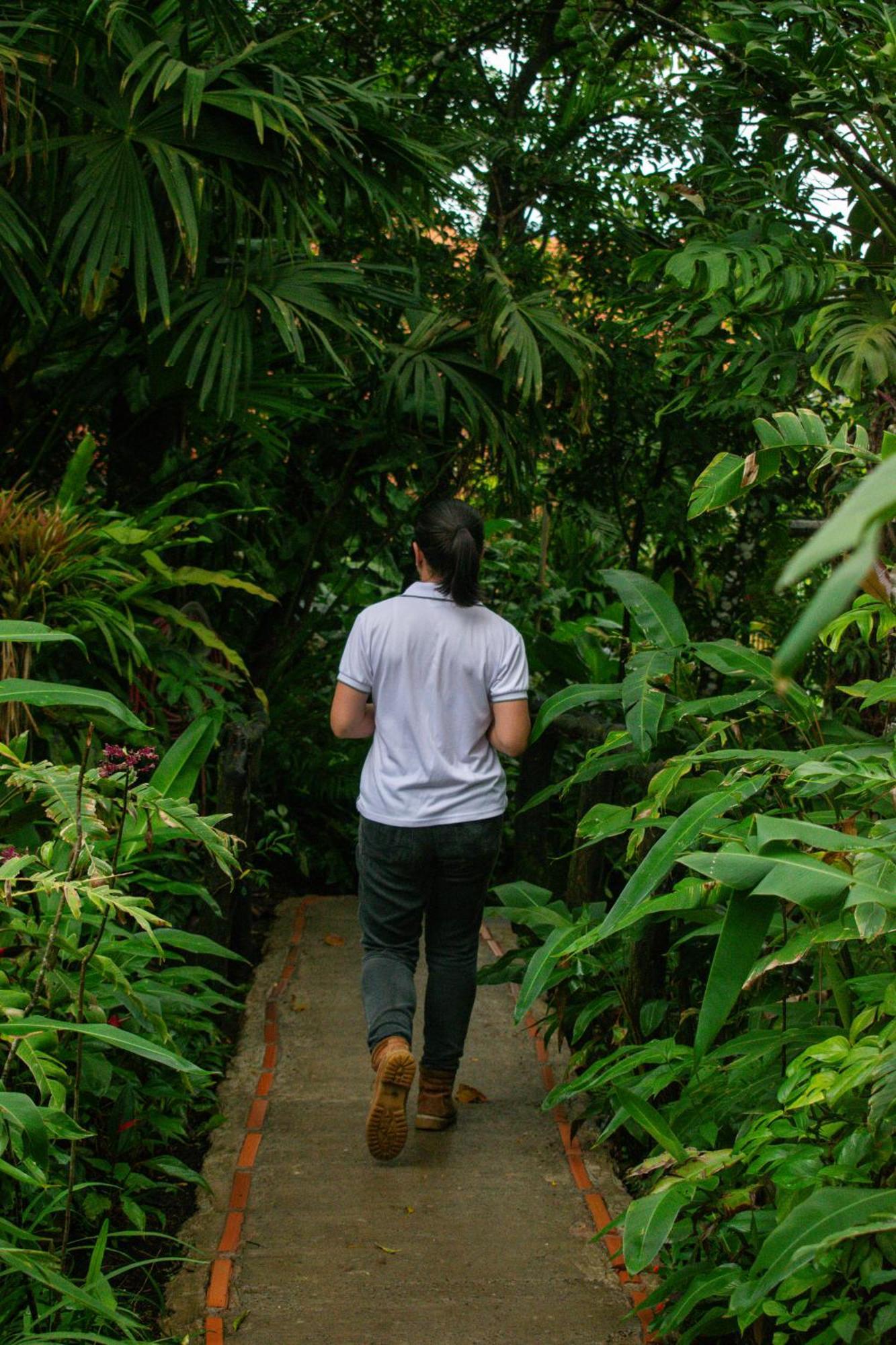 Hotel Claro De Luna Monteverde Luaran gambar
